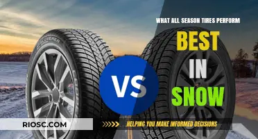Top All-Season Tires for Superior Snow Performance: A Comprehensive Guide