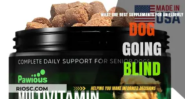 Supporting Senior Dogs with Vision Loss: Top Supplements to Enhance Health and Well-being