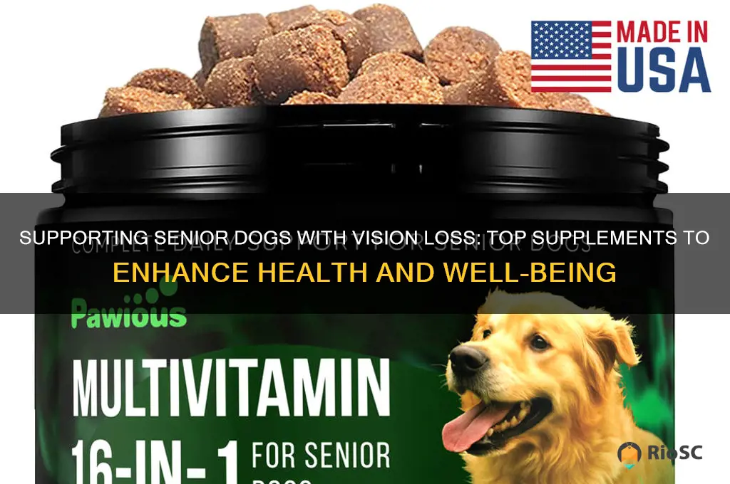 what are best supplements for an elderly dog going blind