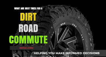 Top Tire Picks for a Smooth and Safe Dirt Road Commute