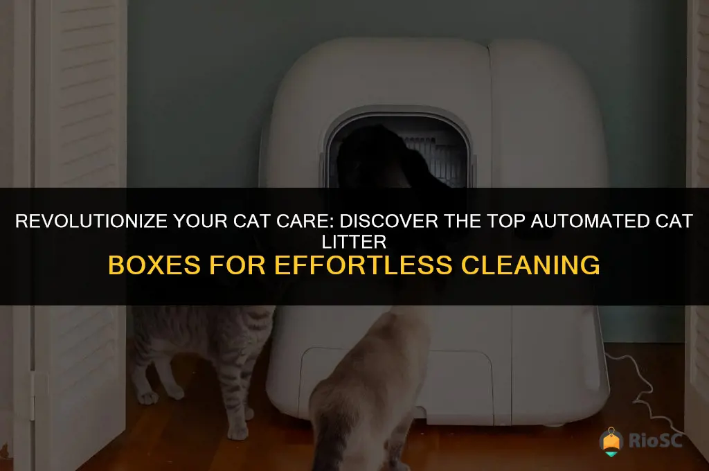 what are the best automated cat litter boxes