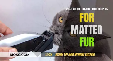 Best Cat Clippers for Matted Fur: A Guide to Grooming with Ease