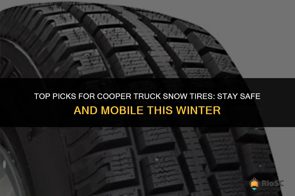 what are the best cooper truck snow tires
