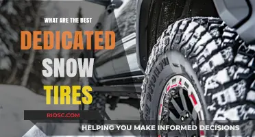 Top Picks for Winter Roads: The Best Dedicated Snow Tires of the Season