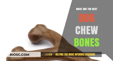 Top Dog Chew Bones: Safe and Durable Options for Your Canine Companion