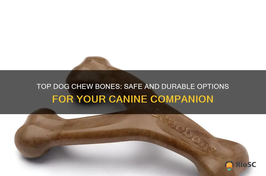 what are the best dog chew bones