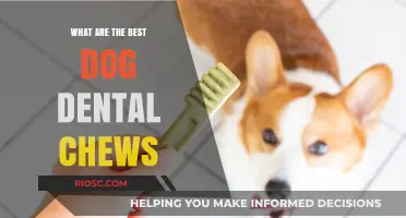 Top Dog Dental Chews: Keeping Your Pup's Teeth Healthy and Clean