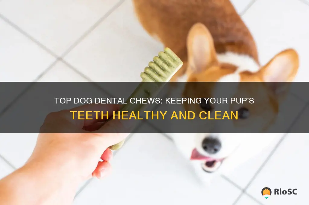 what are the best dog dental chews