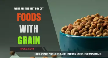 Top Grain-Inclusive Dry Cat Foods: A Comprehensive Guide for Feline Nutrition