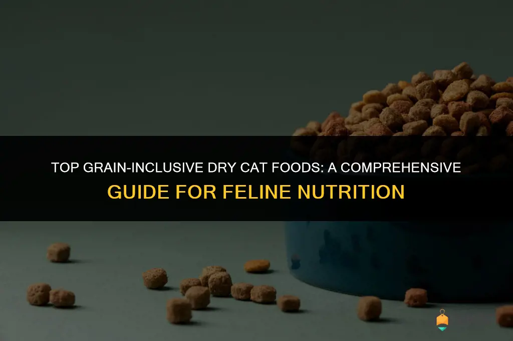 what are the best dry cat foods with grain