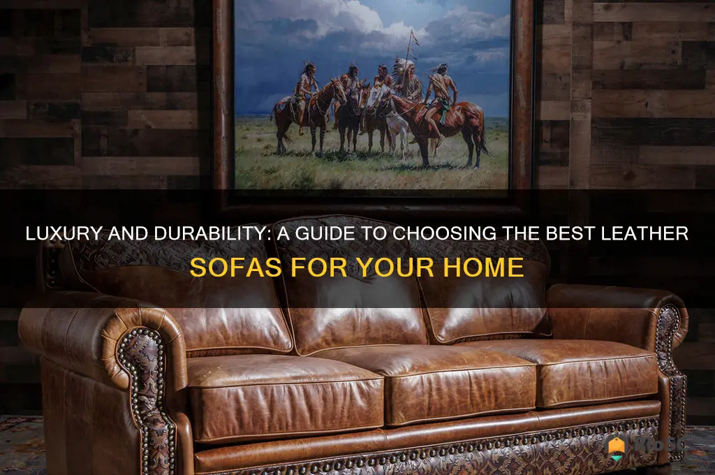 what are the best leather sofas