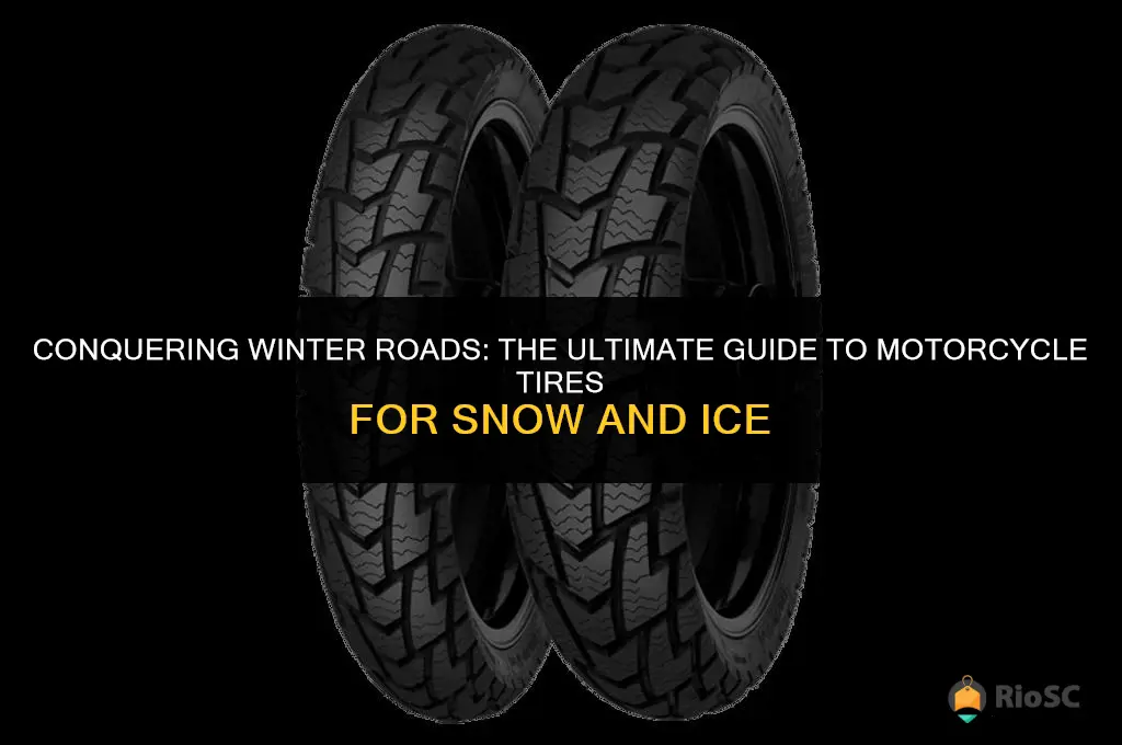 what are the best motorcycle tires for snow and ice