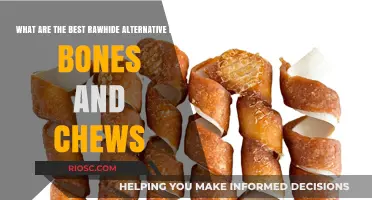 Safe and Durable: Top Rawhide Alternative Dog Bones and Chews for Your Pup