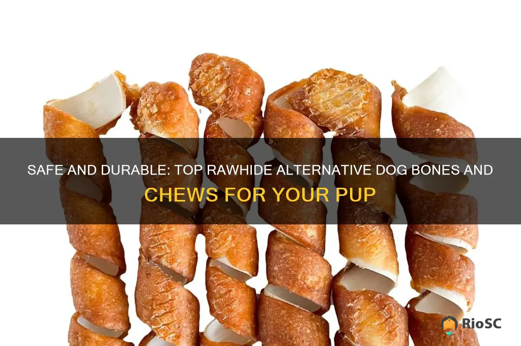 what are the best rawhide alternative dog bones and chews