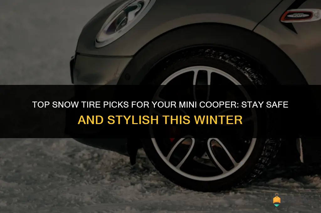 what are the best snow tires for a mini cooper