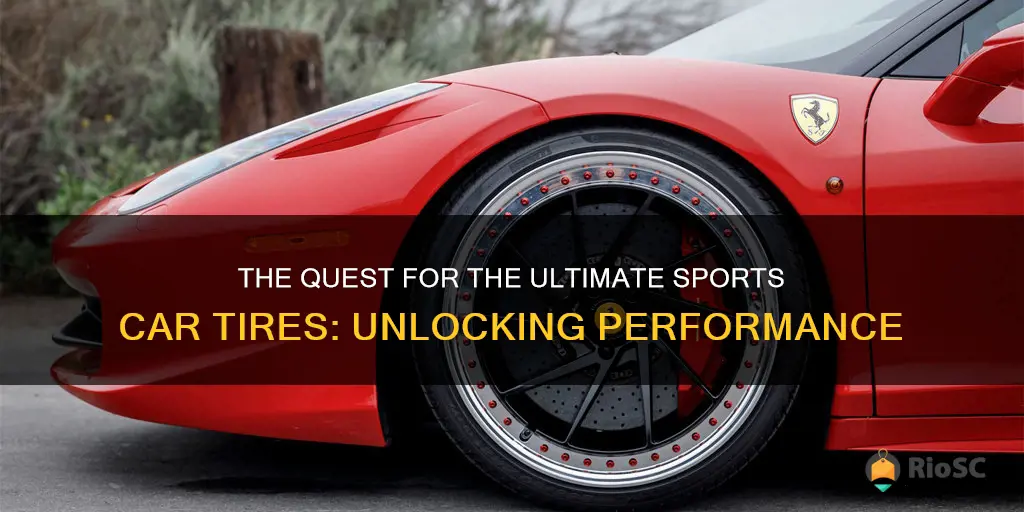 what are the best sporrs car of tires