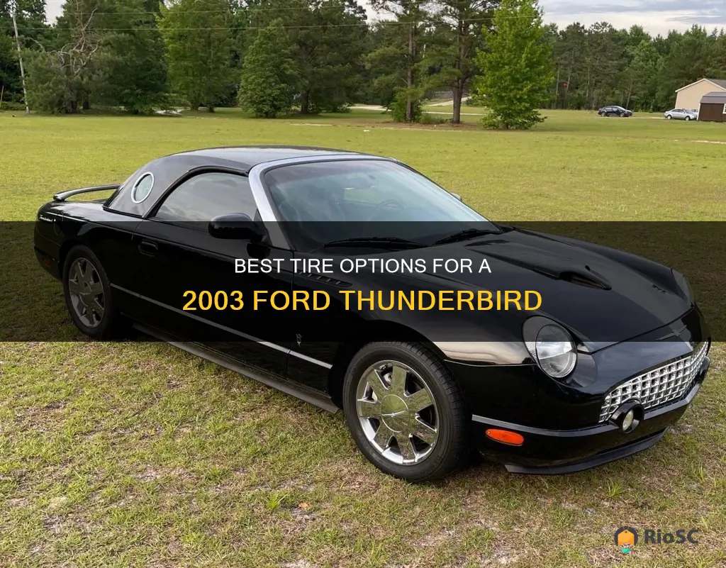 what are the best tires for a 2003 ford thunderbird