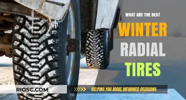 Top Winter Radial Tires: Stay Safe and Warm on the Road