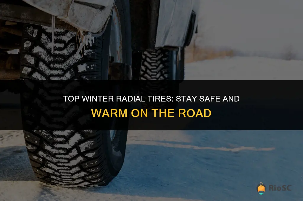 what are the best winter radial tires