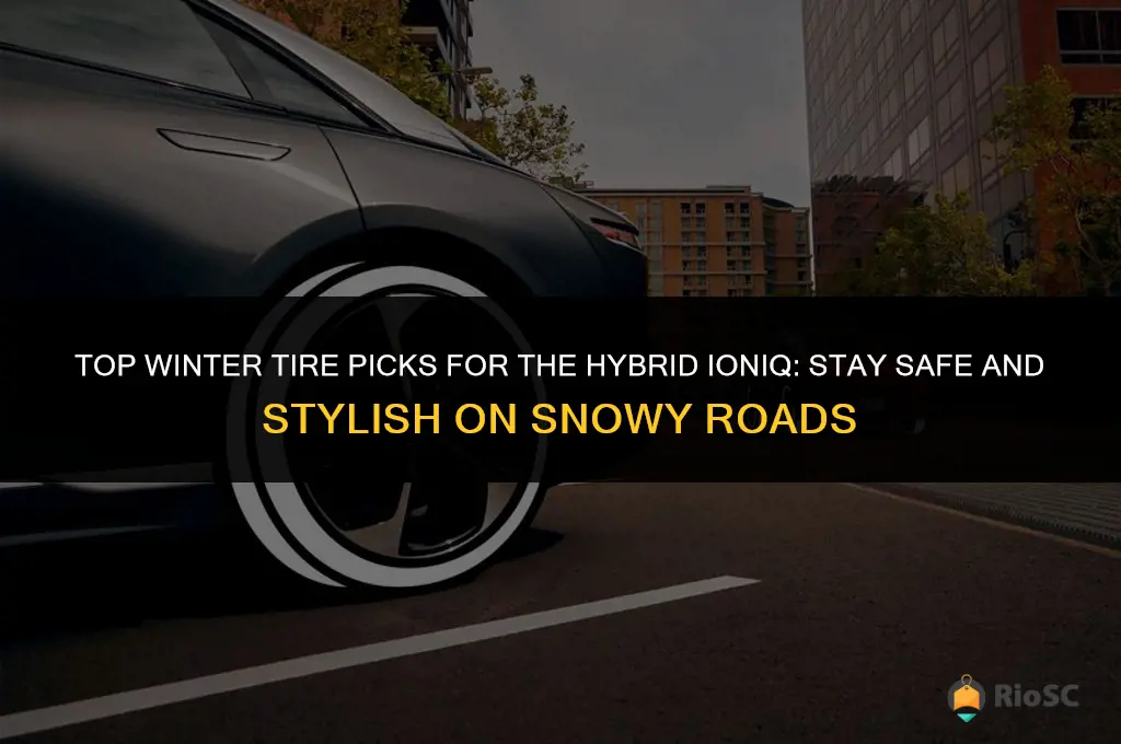 what are the best winter tires for hybrid ionaq