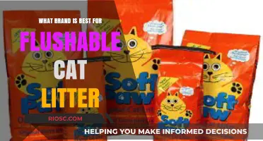 Top Flushable Cat Litter Brands: Finding the Best Option for Your Feline Friend