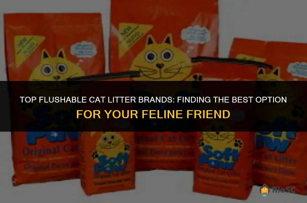 what brand is best for flushable cat litter