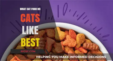 Purr-fect Picks: Unveiling the Top Cat Food Choices Feline Friends Adore