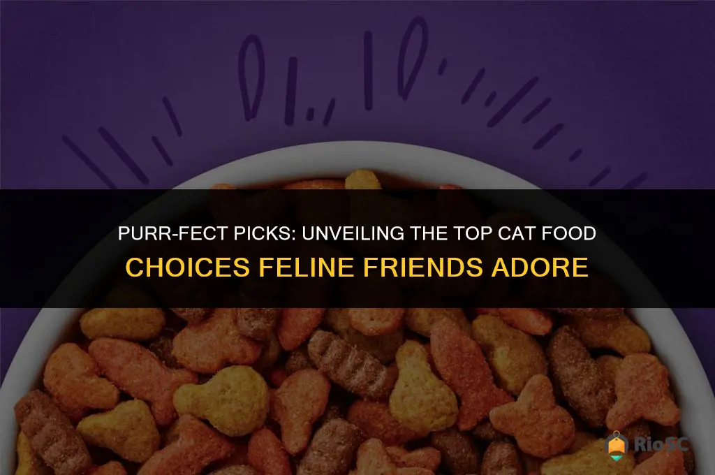 what cat food do cats like best