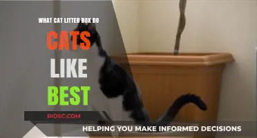 Purr-fect Preferences: Discovering the Cat Litter Box Your Feline Friend Will Love