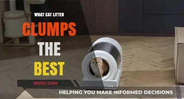 Top-Performing Cat Litter: Which Brands Clump the Best for Easy Cleanup