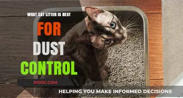 Best Dust-Free Cat Litter Options: Top Picks for a Clean and Healthy Home
