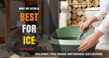 Best Cat Litter for Ice: Top Picks for a Safe and Mess-Free Winter
