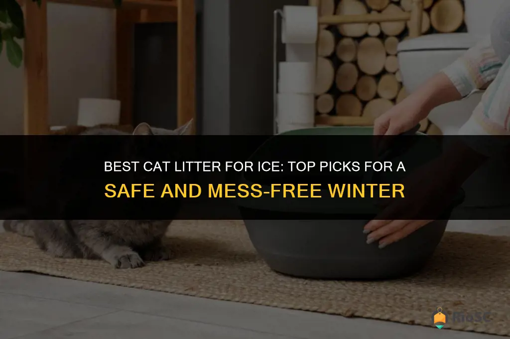 what cat litter is best for ice