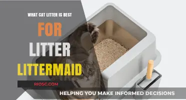 Top Cat Litter Picks for LitterMaid: Finding the Perfect Match for Your Self-Cleaning Litter Box