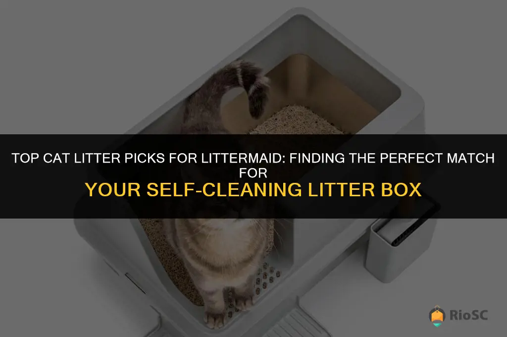 what cat litter is best for litter littermaid