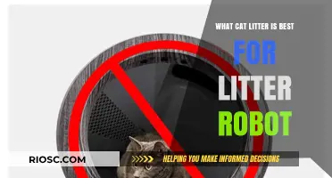 Top Cat Litter Picks for Optimal Litter Robot Performance