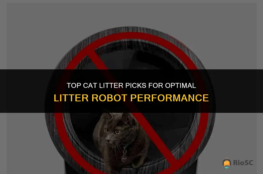 what cat litter is best for litter robot
