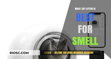 Top Cat Litter Picks for Eliminating Odors: A Fresh Solution for Your Feline Friend