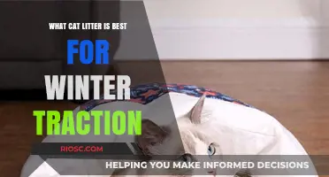 Winter-Ready Paws: Choosing the Best Cat Litter for Enhanced Traction in Cold Weather