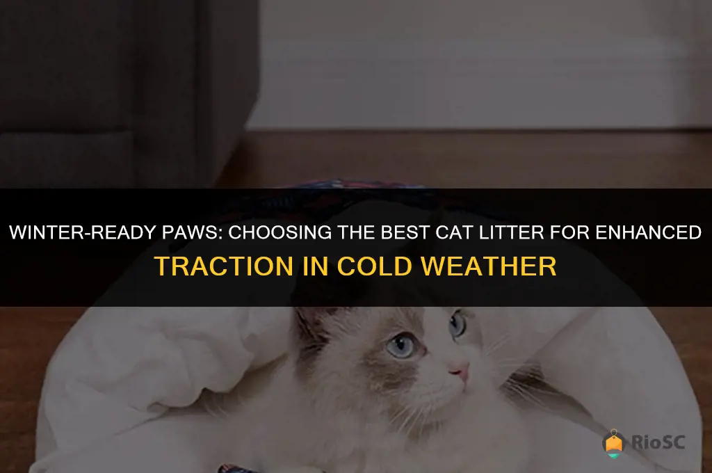 what cat litter is best for winter traction
