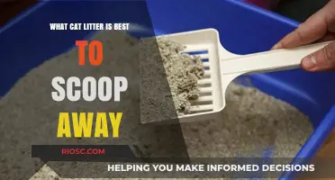 Top Cat Litter Picks for Easy Scooping and Odor Control