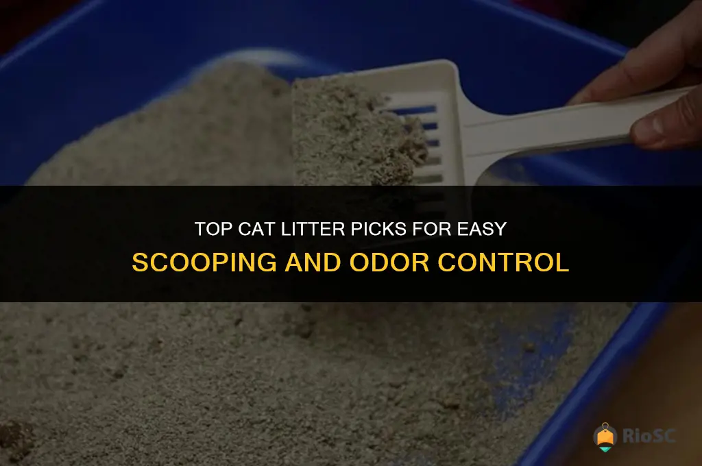 what cat litter is best to scoop away