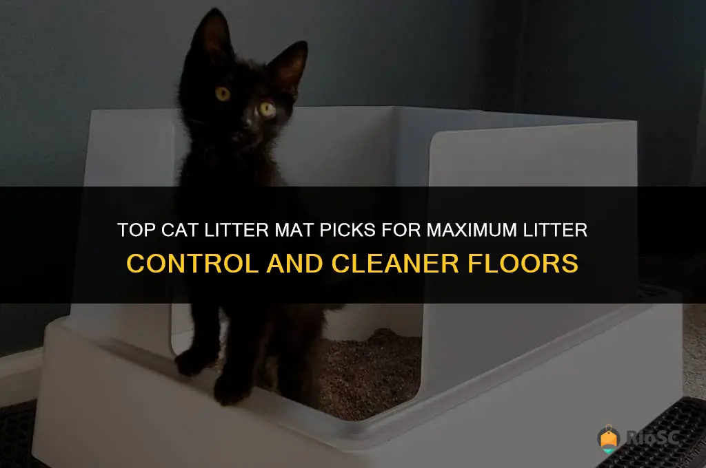 what cat litter mat is best for controlling litter