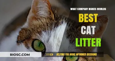 Unveiling the Top Brand: Which Company Produces the World's Best Cat Litter?