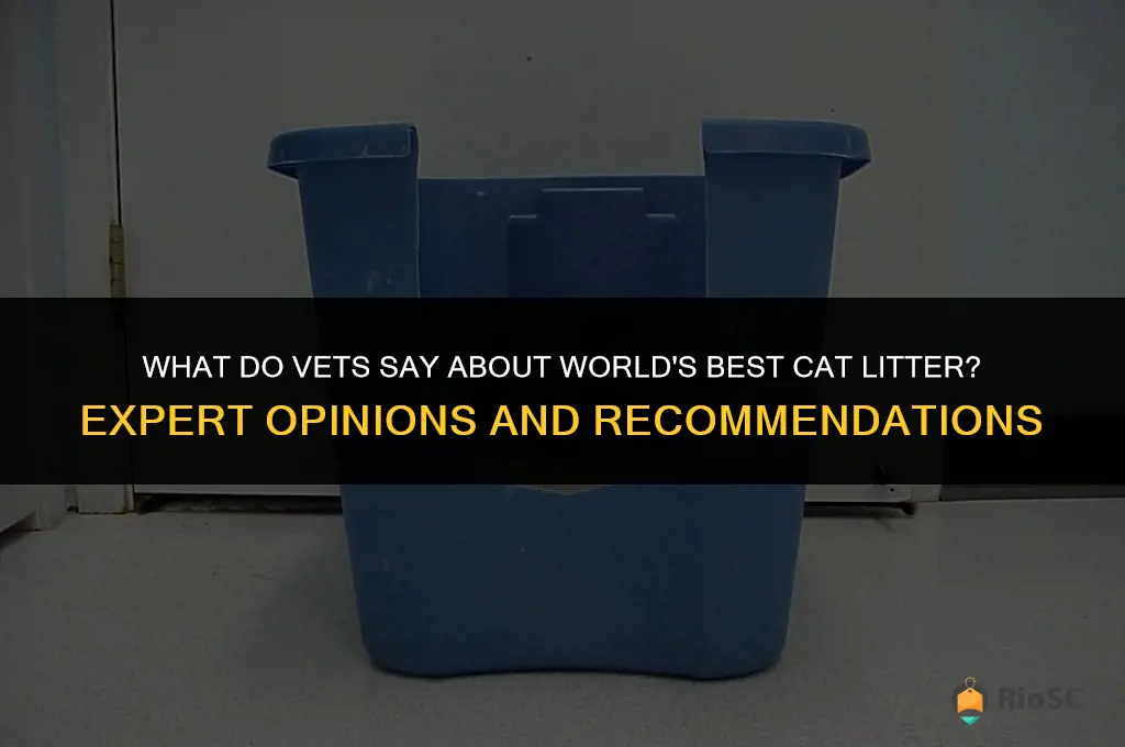 what do vets say about world