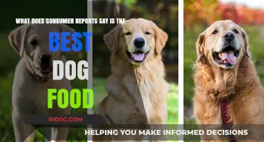 Consumer Reports' Top Pick: The Best Dog Food for Your Canine Companion