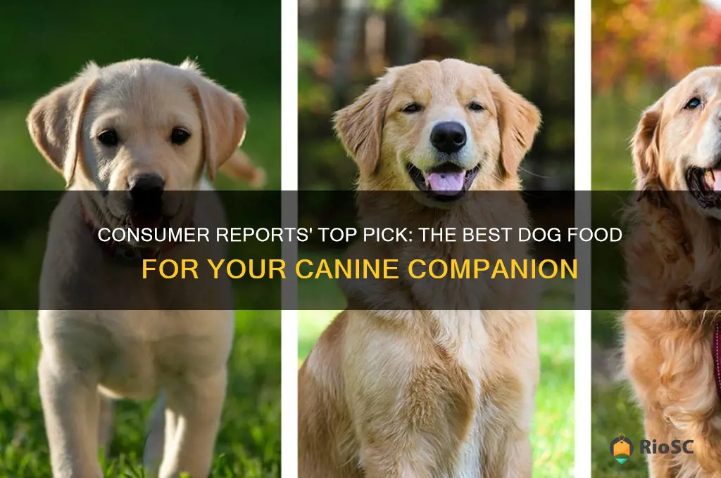 what does consumer reports say is the best dog food
