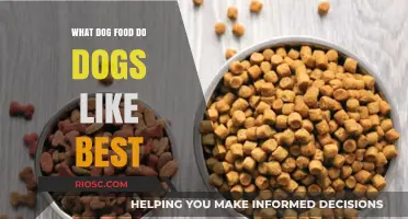Tail-Wagging Favorites: Unveiling the Top Dog Food Choices Among Canine Companions