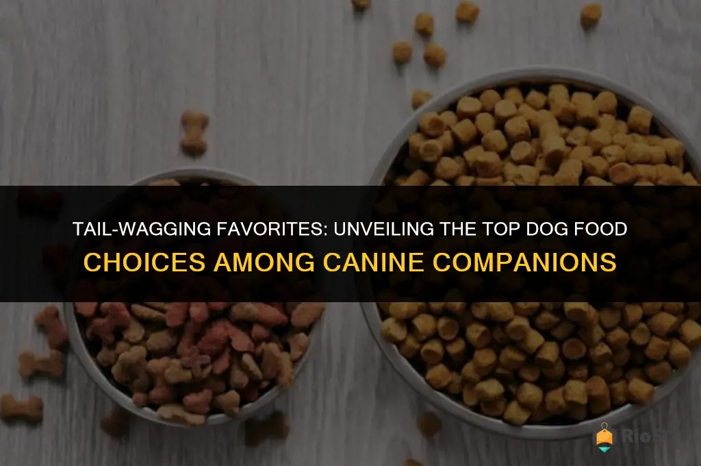 what dog food do dogs like best