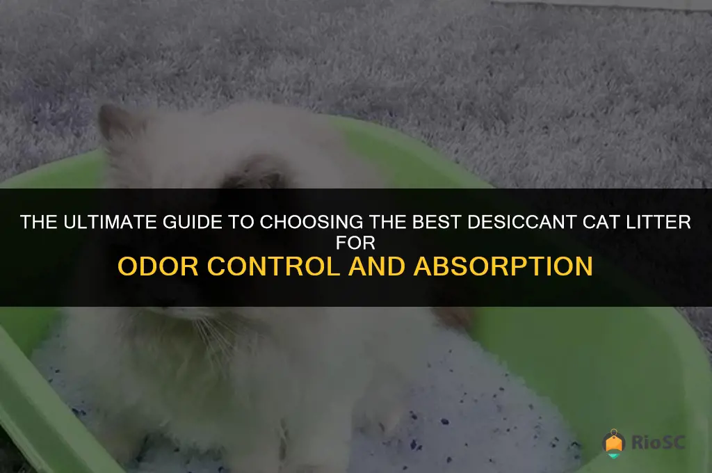 what is best cat litter for desiccant